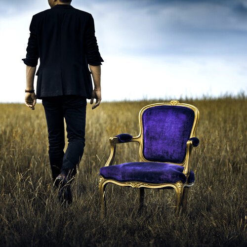Myosotis cover art