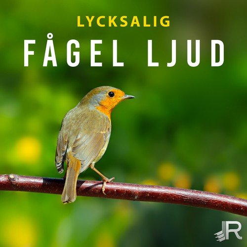 Akupunktur och zonterapi cover art