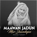 Maawan Jadun Mar Jaandiyan (Lofi-Mix)