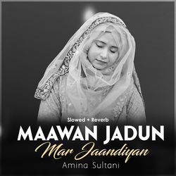 Maawan Jadun Mar Jaandiyan (Lofi-Mix)