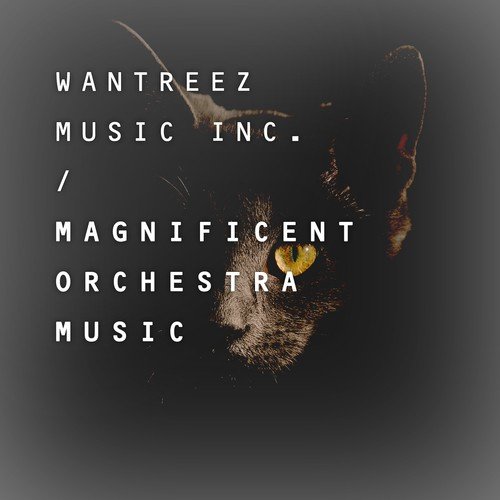 Magnificent Orchestra Music