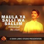Maula Ya Salli Wa Sallim