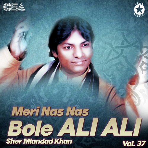 Meri Nas Nas Bole Ali Ali, Vol. 37_poster_image