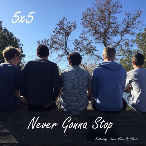 Never Gonna Stop (feat. Imari Vibes & Cloud9)