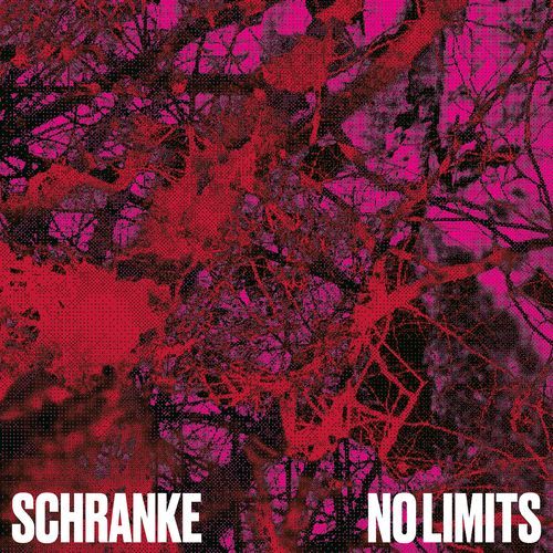 No Limits (DJ Genderfluid Remix) cover art
