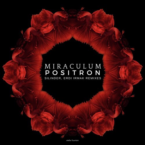 Positron (Silinder Remix) cover art