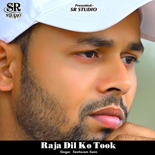 Raja Dil Ko Took