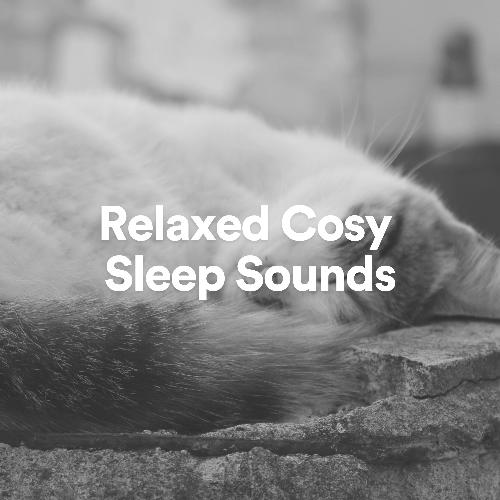 Relaxed Cosy Sleep Sounds_poster_image