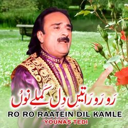 Ro Ro Raatein Dil Kamle-FjooQkFWb34