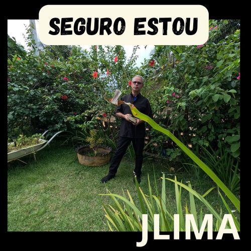 SEGURO ESTOU cover art