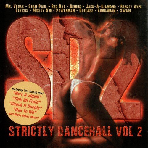 Strictly Dancehall Volume 2