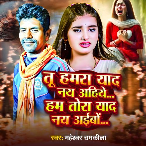 Tu Hamra Yaad Naye Ahiye Ham Tora Yad Naye Aebo