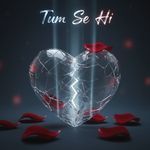 Tum se hi