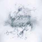 drops artwork
