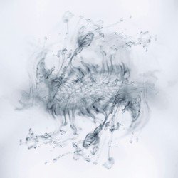 mono by Hideyuki Hashimoto