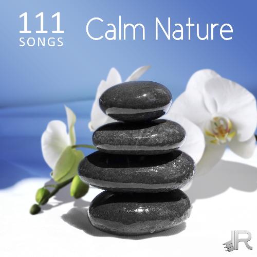 Background Music (Pro Sound Effects Library) cover art