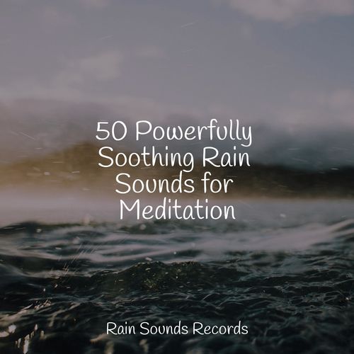 50 Powerfully Soothing Rain Sounds for Meditation