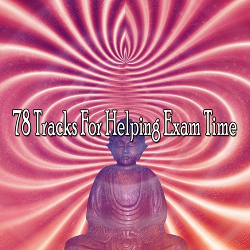 78 Tracks For Helping Exam Time