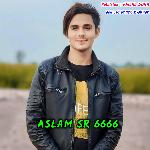 Aslam SR 6666