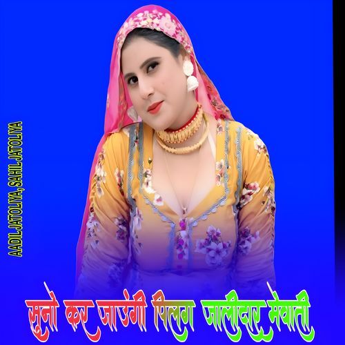 सुनो कर जाऊंगी पिलग जालीदार मेवाती