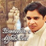 Bazeecha E Atfal Hai