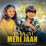 Bhai Meri Jaan