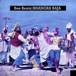 Bhangra Shava