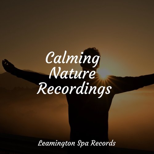 Sleep Music cover art