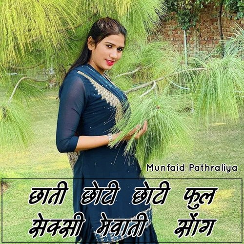 Chhati Chhoti Chhoti Full Sexy Mewati