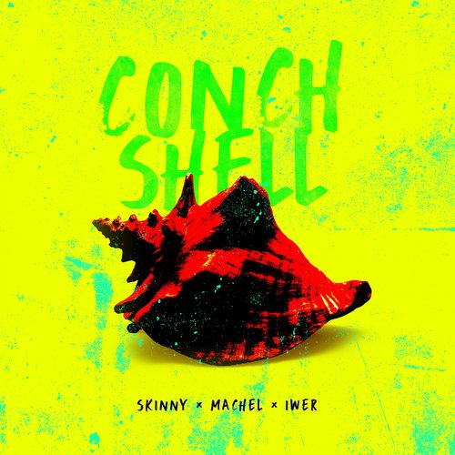 Conch Shell_poster_image