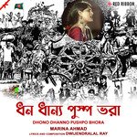 Dhono Dhanno Pushpo Bhora artwork