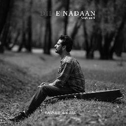 Dil e Nadan (Unplugged)-HipSeiwAfGw