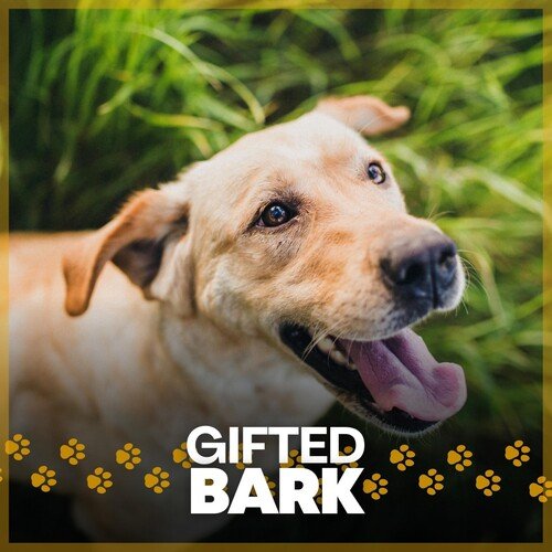 Canine Lullabies, Pt. 12