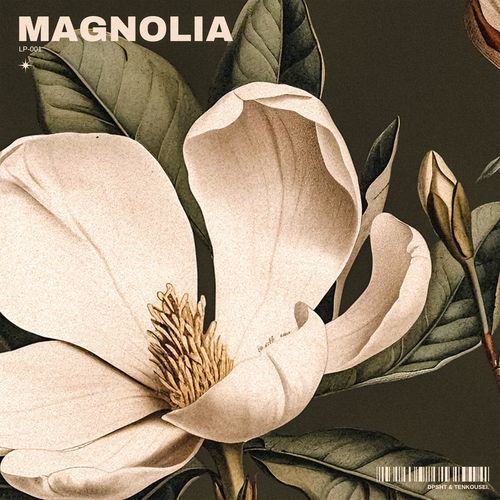 Magnolia, Pt. 2