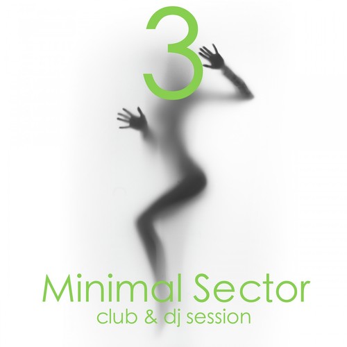 Minimal Sector, Vol. 3 (Club & DJ Session)