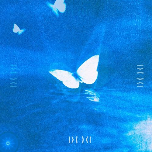 NAVI