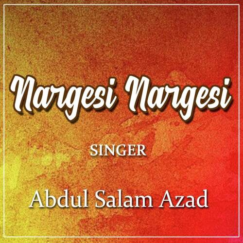 Nargesi Nargesi