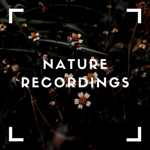 Calm Natural cover art
