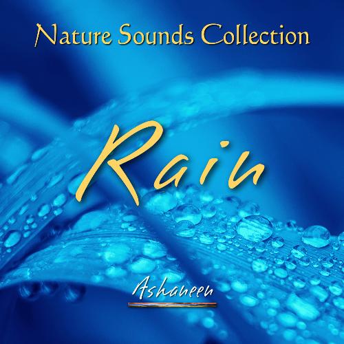 Nature Sounds Collection: Rain cover art