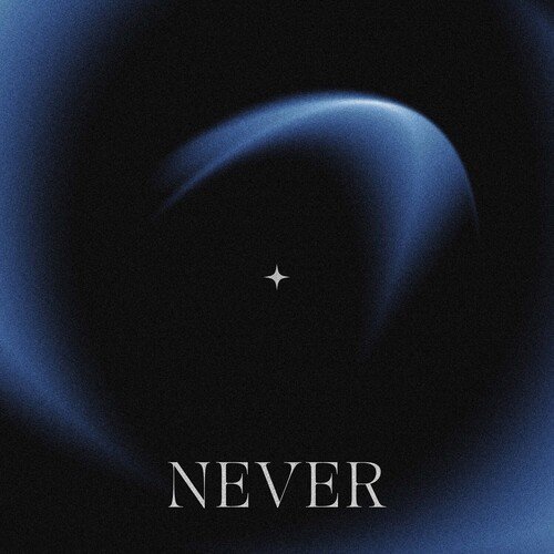 Never_poster_image