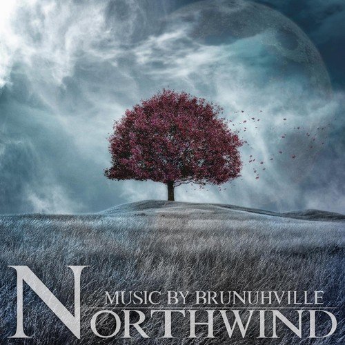 Northwind_poster_image