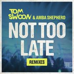 Not Too Late (Original Mix)