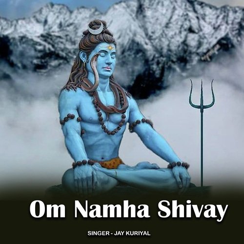 Om Namha Shivay