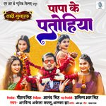 Papa Ke Patohiya (From "Shaadi Mubarak") artwork