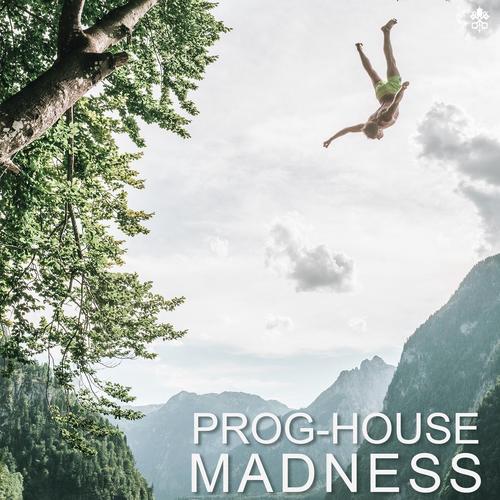 Prog-House Madness