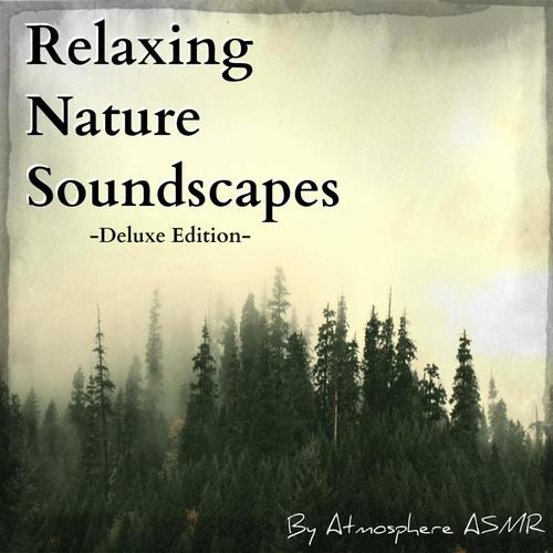 Relaxing Nature Sounds (Deluxe Edition) [Rain, Thunder, Crickets, Waves, Waterfalls, River and Spa Soundscapes]