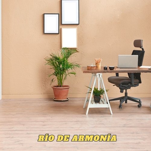Renovación en Tonos cover art