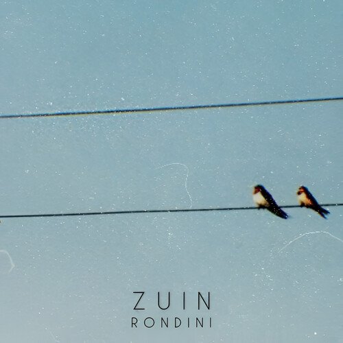 Rondini_poster_image