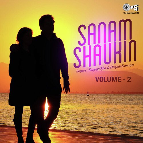 Sanam Shaukin Vol 2
