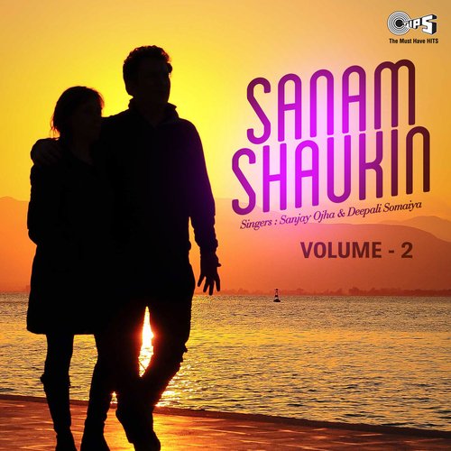 Sanam Shaukin, Vol. 2